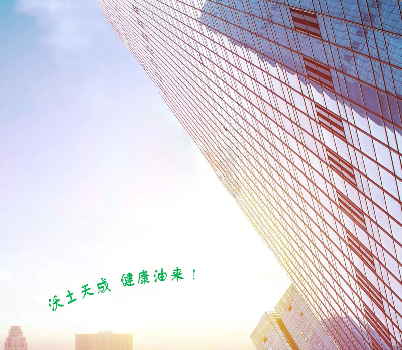资质证书